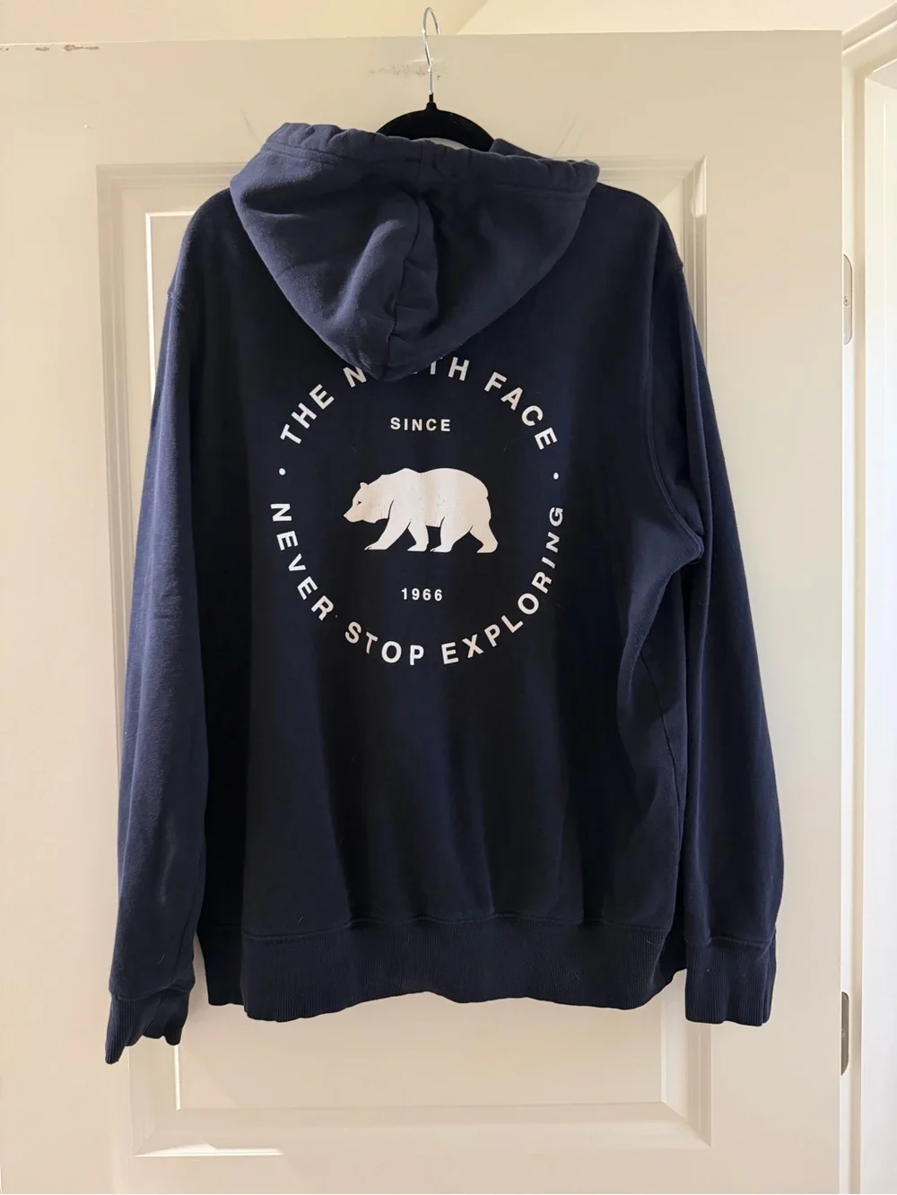 The North Face Men's Dark Navy Pullover Hoodie with Logo